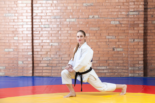 Beautiful athletic karate woman in white kimono with black belt in fighting  stance looking at camera. Japanese martial arts concept. Indoor, studio  shot, brown bricked wall background Stock Photo | Adobe Stock