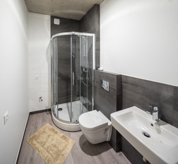 Shower room and bathroom in a modern apartment. Shower room in the studio apartment. © Aleks Kend