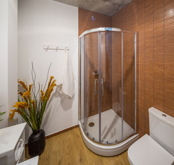 Shower room and bathroom in a modern apartment. Shower room in the studio apartment. © Aleks Kend