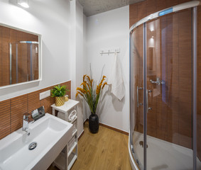 Shower room and bathroom in a modern apartment. Shower room in the studio apartment. © Aleks Kend