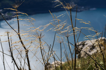 Scenic landscape in Switzerland: the beautiful Walensee (St. Gallen) seen from Leistchamm