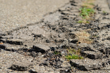 Straßenschaden im Teer Belag einer Straße