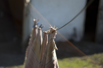 clothes hanging drying
