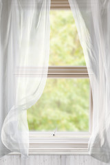 Open Window