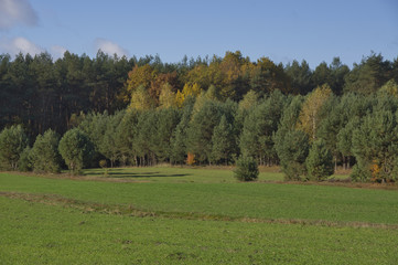 jesienne pola i lasy