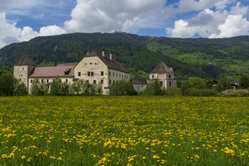 Field with dandelions and little village and mountains in background