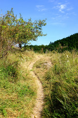 Fototapeta premium hiking trail in tatra mountains in Slovakia