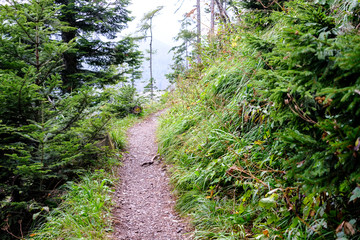 hiking trail in tatra mountains in Slovakia