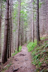 hiking trail in tatra mountains in Slovakia