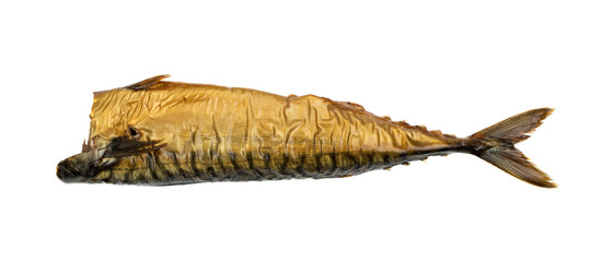 Cold Hot Smoke Mackerel Isolated on White Background Close Up