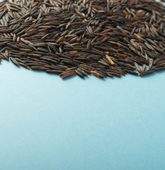 Raw Black Wild Rice on Blue Paper Background