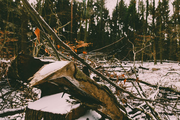 Winterlandschaft in Mittelhessen