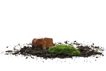 Green moss with rock isolated on white background 