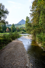 hiking trail in the woods