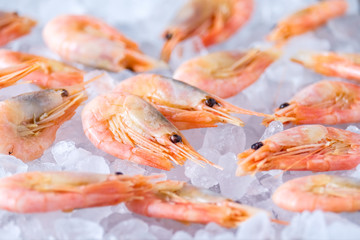 Eismeerkrabben auf Eis