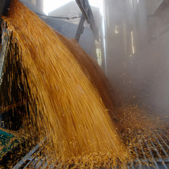 Silo bag in a farm with fence and field. Rural, countryside image, agricultural industry scene. © sarymsakov.com
