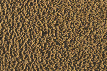 Sand texture or background