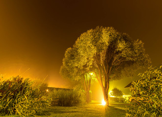 very foggy night at swedish garden at countryside with soft dim light late summer autumn start