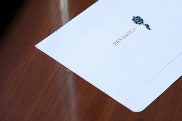 Silver key on a sheet with word password