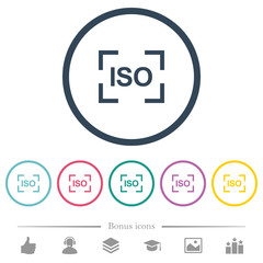 Camera iso speed setting flat color icons in round outlines