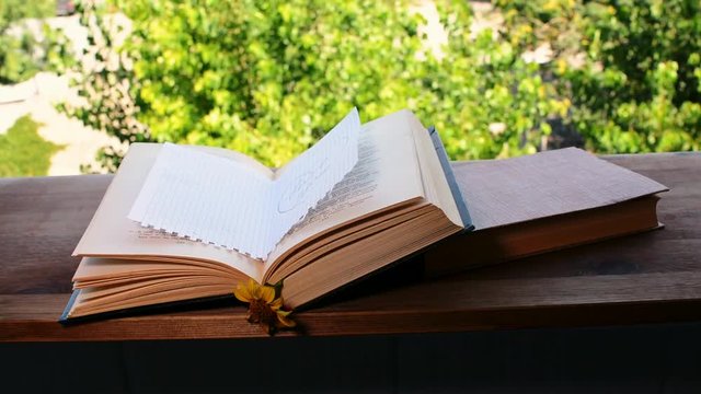 Open book on nature background