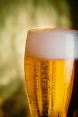 Amber beer on green background. Foam hop drink