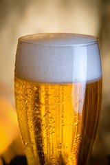 Amber beer on a Golden background. Foam hop drink