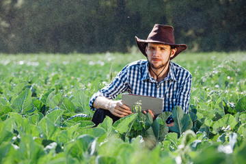 farmer man agronomist sun worker check digital tablet computer plantation technology hat sprinkler system water