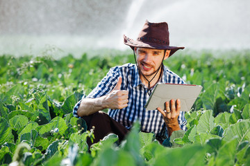 farmer man agronomist sun worker check digital tablet computer plantation technology hat sprinkler system water