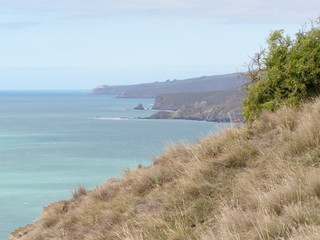 Obraz premium OLYMPUS DIGITAL CAMERA