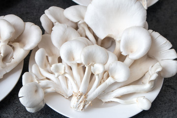 Mushroom Fairy in the market.
