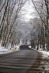 Snowy country road