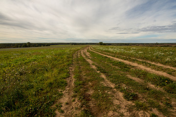 a country road passes through a field