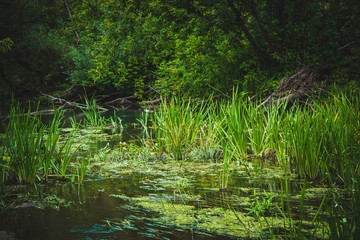 the river Bolshoy chembar