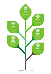 Tree of development and growth of the eco business. Info graphic. Business presentation concept with 6 options, parts, steps or processes. Vertical Timeline infographics with icons.