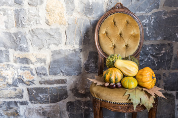 Various types of ornamental pumpkins, chestnuts, leaves on the yellow old chair
