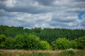 Obraz premium summer rural landscape