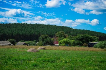 Obraz premium summer rural landscape