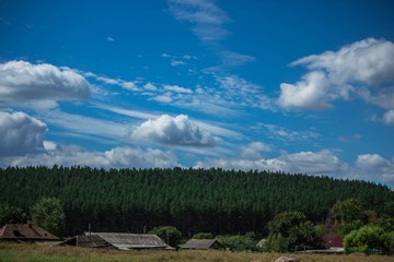 summer rural landscape