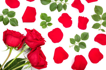 beautiful red rose with leaves and petals isolated on white background. Top view. Flat lay pattern
