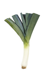 green garlic isolated