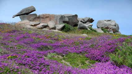 Felsen an der Cote de Granit Rose