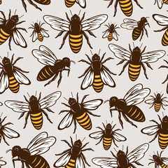 Vector honey bee seamless pattern or background