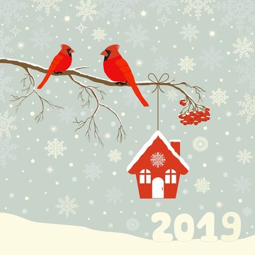 Cute red cardinal bird with birdhouse on branch in winter
