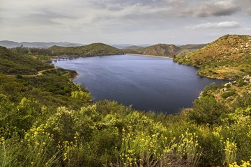 Lake Poway scenic landscape view with abundance of spring wildflowers in San Diego County North Inland
