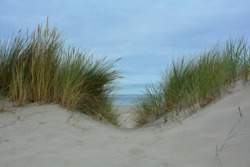 Blick durch die Sanddünen zur Nordsee mit viel Dünengras
