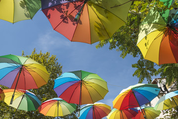 Street Decorated with Colorful Umbrellas