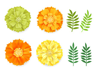 Decorative orange, green yellow marigolds and leaves , symbol of mexican holiday Day of dead isolated on white background.Realistick flowers vector illustration