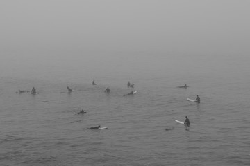 surfers on foggy morning