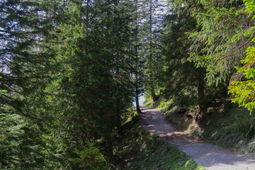 Obraz premium Hiking trail in Switzerland (mountains)
